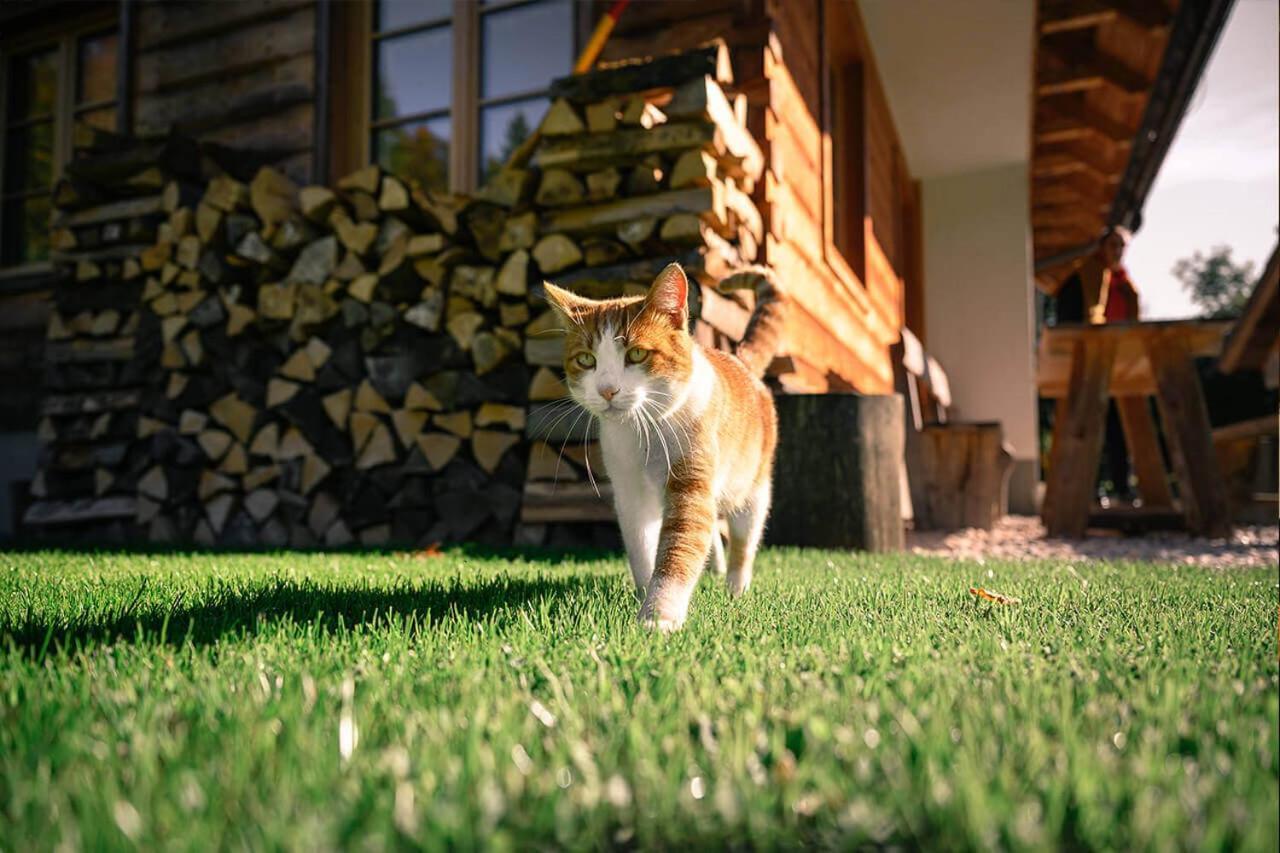 Alpine Homestead Goreljek Zewnętrze zdjęcie